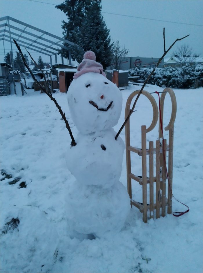 ein Schneemann mit zwei Astarmen und rosa Pudelmütze, daneben steht ein Hornschlitten