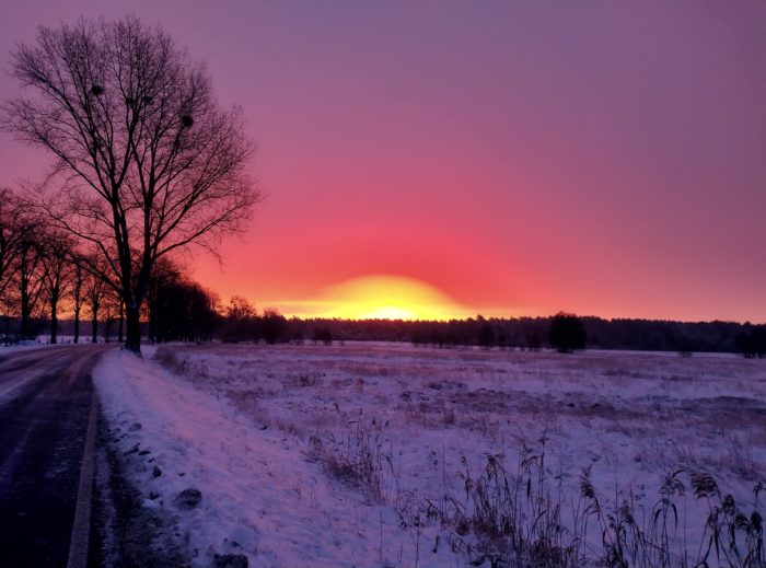 ein lila-farbener Sonnenuntergang hinter einem verschneiten Feld